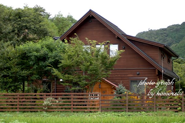 庭に小屋がある風景を特集しました 木漏れ日のさすガーデン 庭に小屋がある風景を特集しました 木漏れ日のさすガーデン