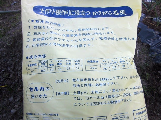 タマネギに 有機石灰 を撒きました トマさんの畑