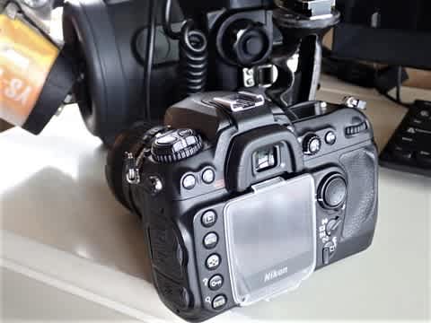Nikon D0 ジャイアン日記