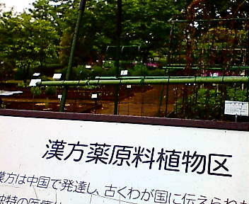 東京都薬用植物園