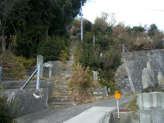 道2