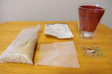 Photo_2 Photo_2