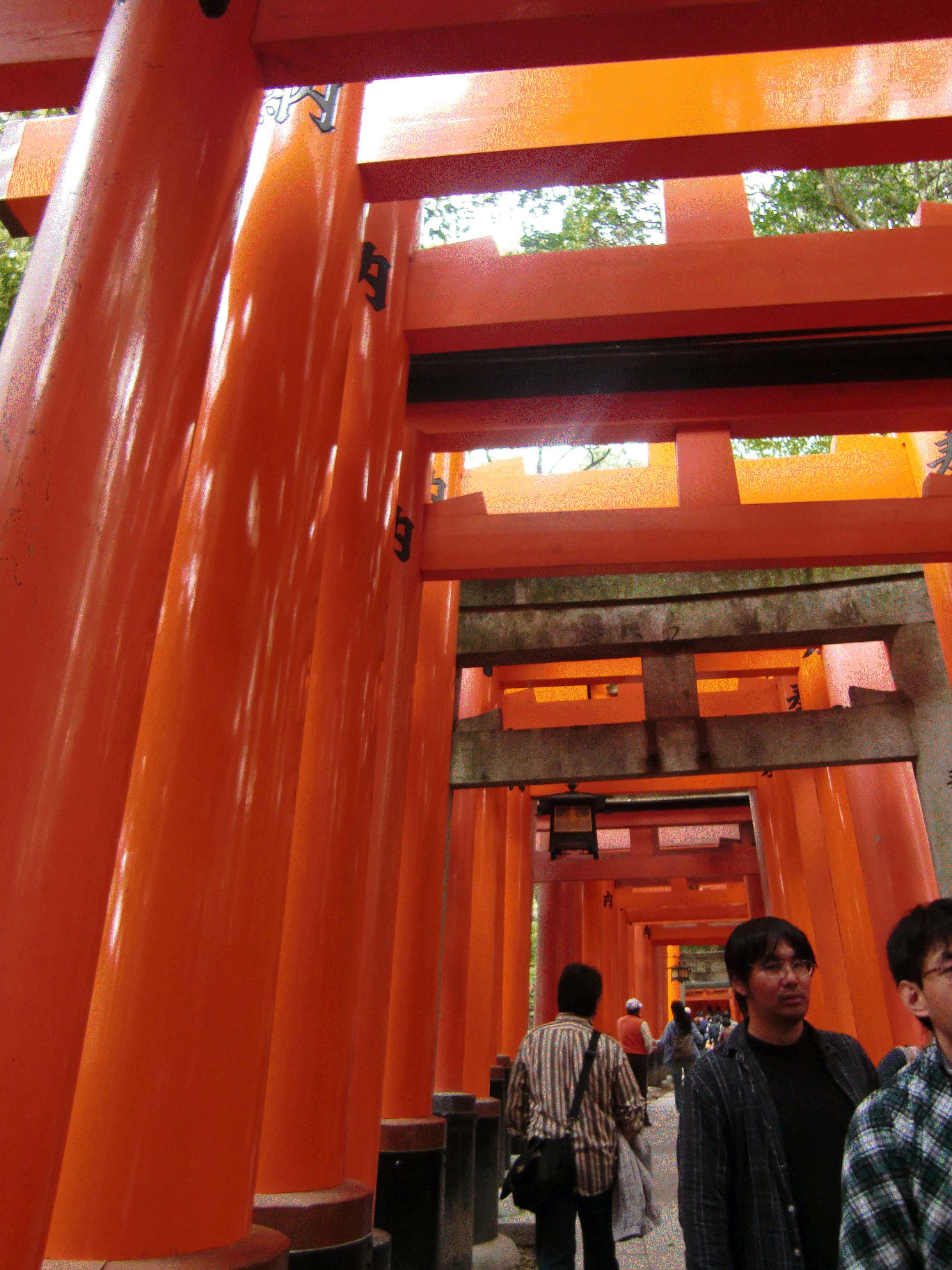 京都～☆の画像