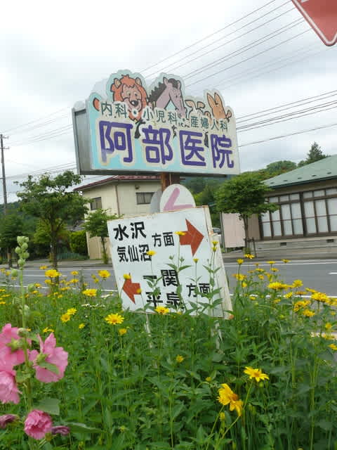 一関市東山町のコヒマワリ(小向日葵)2019年7月5日(金)