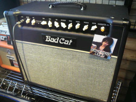 悪い猫】Bad Cat Cougar50 - CLUB EVH ブログ