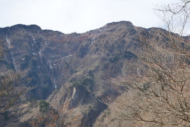 女峰山より楽しい赤薙山 たち その5 Yとyの日々 女峰山より楽しい赤薙山 たち その5 Yとyの日々
