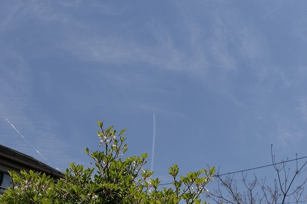 青い空に飛行機雲 蒼い空に月 今日も剪定続き なんでもかんでも手帳 青い空に飛行機雲 蒼い空に月 今日も剪定続き なんでもかんでも手帳