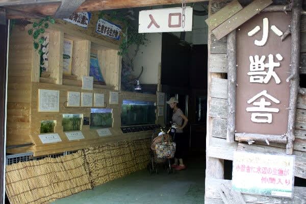 みやしろ水族館 が人気 東武動物公園 宮代now 出来事編 みやしろ水族館 が人気 東武動物公園 宮代now 出来事編