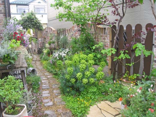 最近のモデルガーデン 有機栽培 無農薬の庭づくり ガーデンカウンセラーたみこさんのブログ