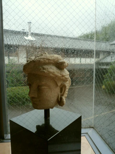 今日は雨の画像