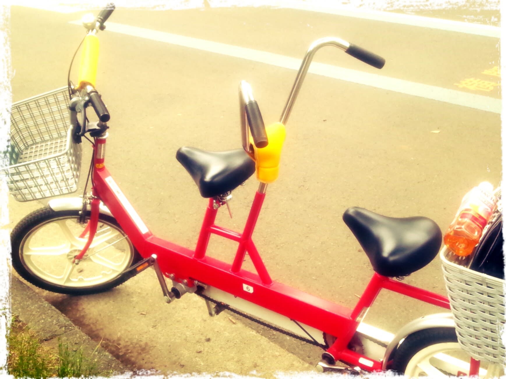 駒沢 公園 自転車