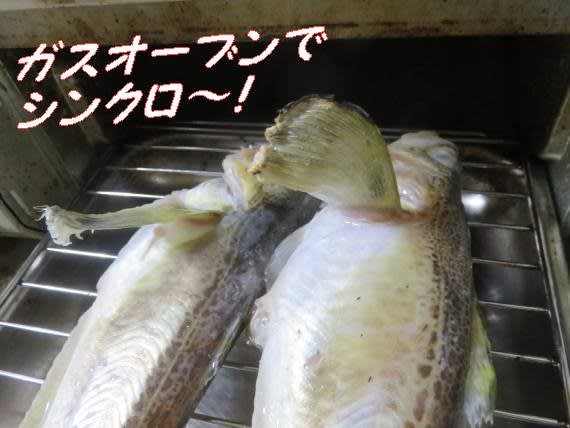 特大ハタハタちゃん 貴重な卵は ぶりこ 食感ヌルプチ サンシャイン池崎さんに似ている いげのやま美化クラブ 特大ハタハタちゃん 貴重な卵は ぶりこ 食感ヌルプチ サンシャイン池崎さんに似ている いげのやま美化クラブ