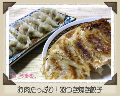 羽つき焼き餃子