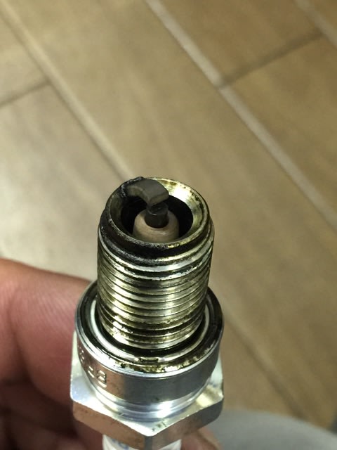 イメージ 15