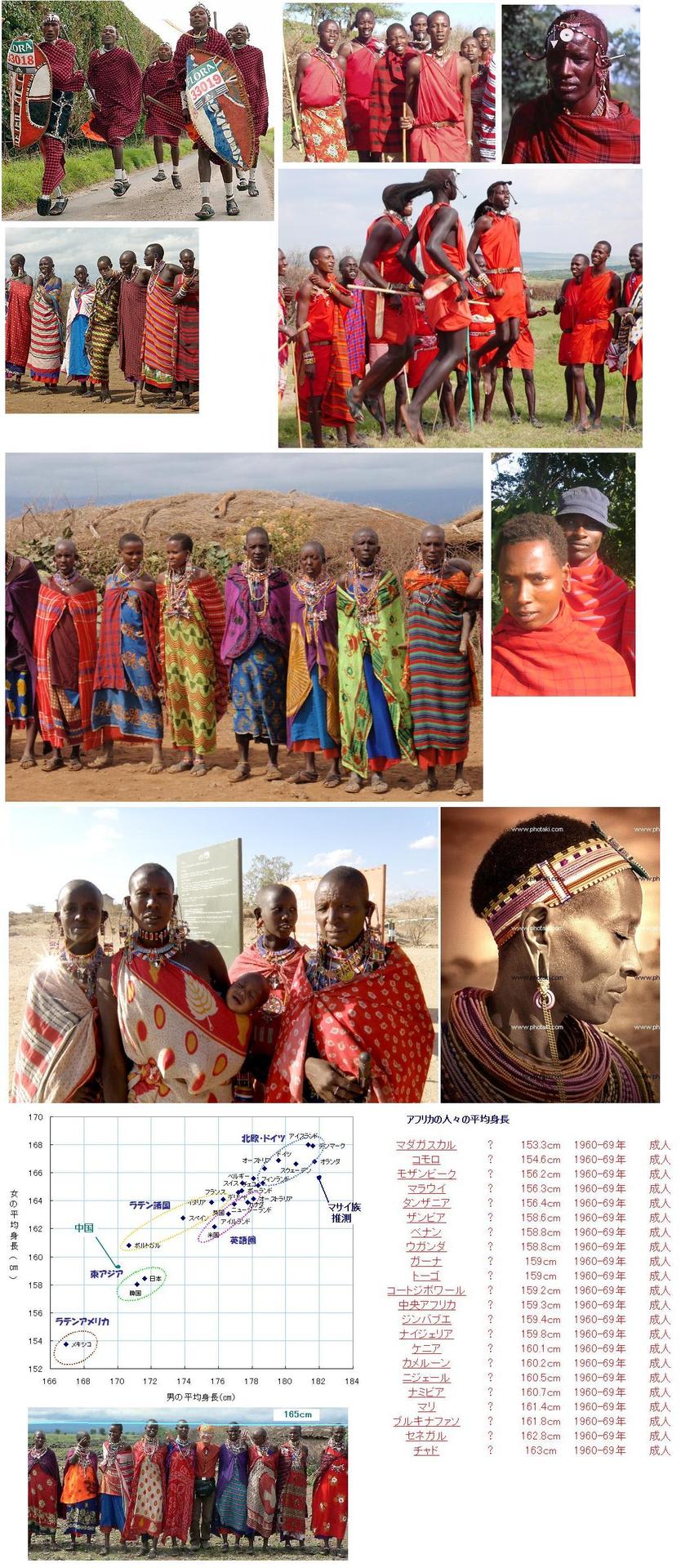 世界の少数民族 ３ アフリカ マサイ族の巻 エルダーｂｐ