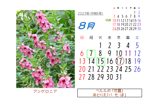 8月の花暦 Goo3