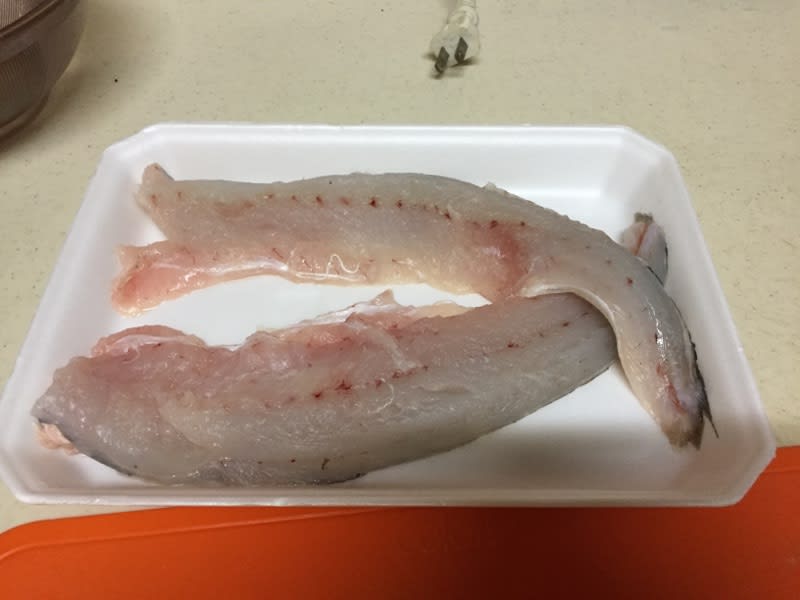 エソはさつま揚げで トミーの釣行記