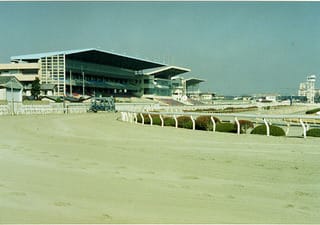 北関東競馬消滅 タンブリングダイス