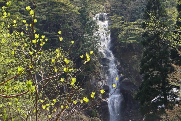 龍神の滝 百間滑 富山県富山市 滝と渓谷