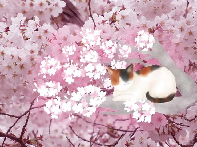水火天満宮 櫻見会 猫イラスト 猫のおもてなし