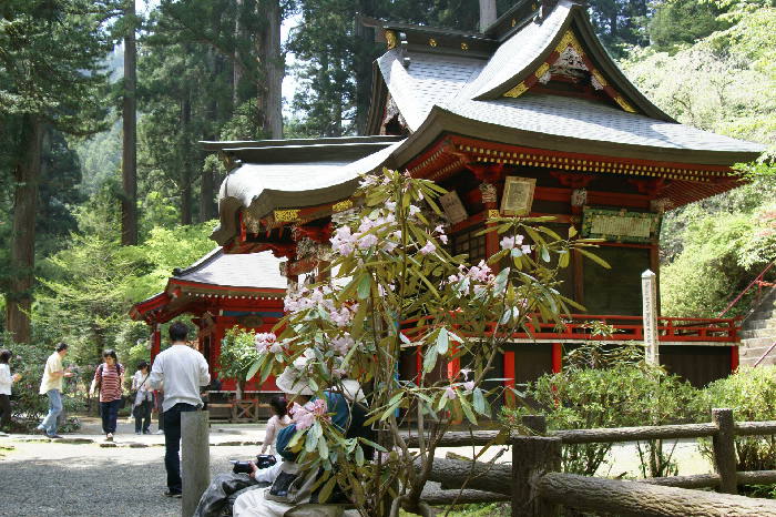 花園神社祭礼の奉納 ささら 北茨城市 れいな日記 Reina Diary 花園神社祭礼の奉納 ささら 北茨城市 れいな日記 Reina Diary