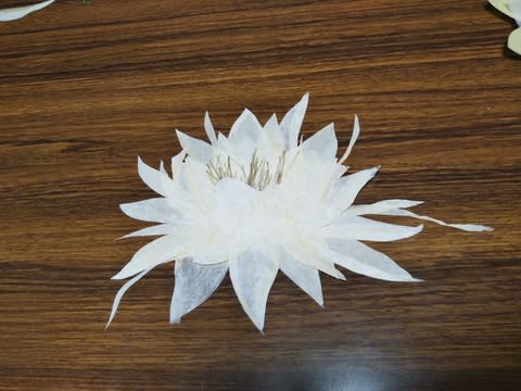 月下美人 押し花 額縁入り 押し花アート 汚れあり 押し花 額 月