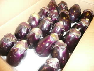 水茄子漬け方レッスン 徒歩ホ女