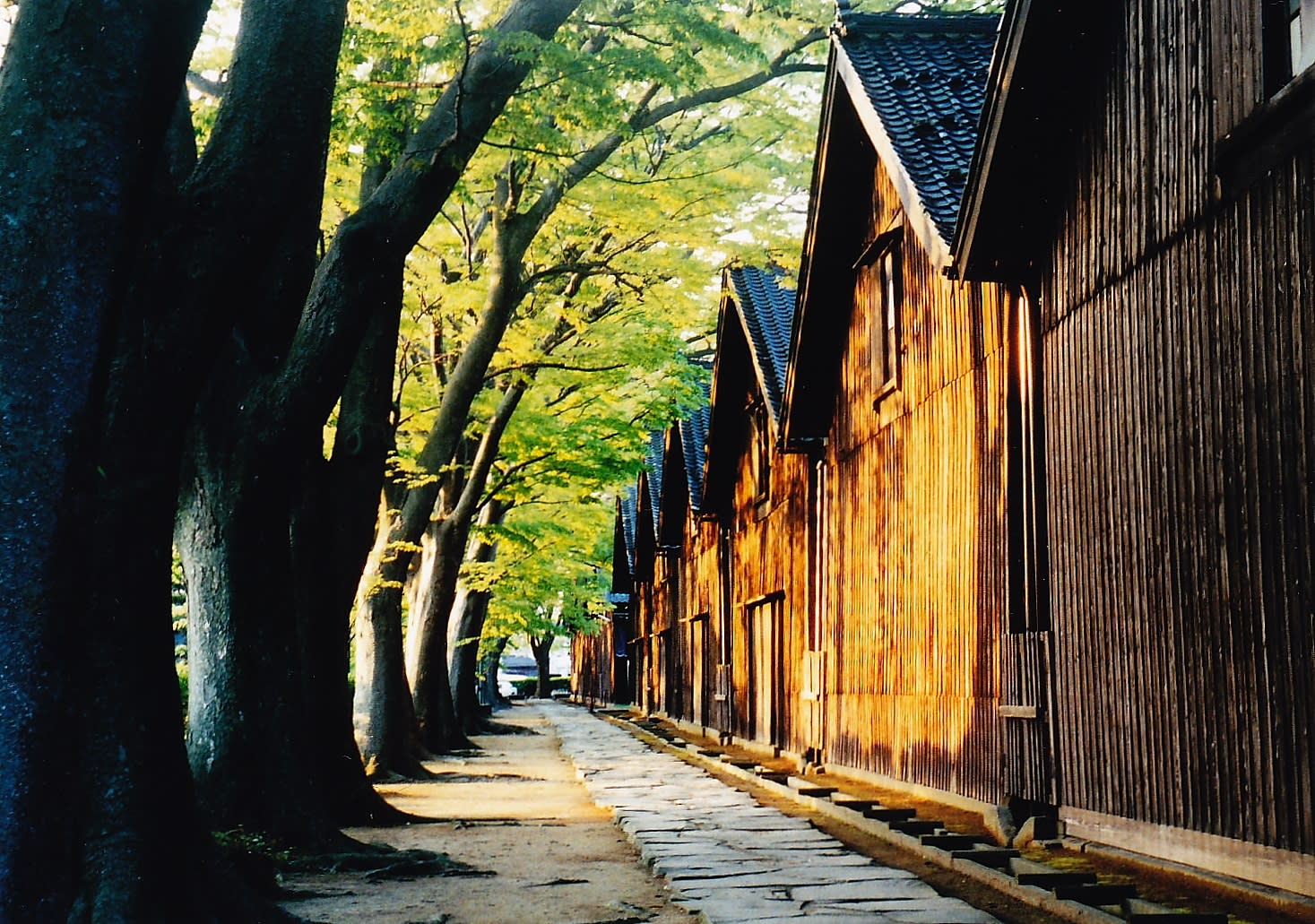 蔵出し 今日の2枚 酒田・山居倉庫 風景写真春秋
