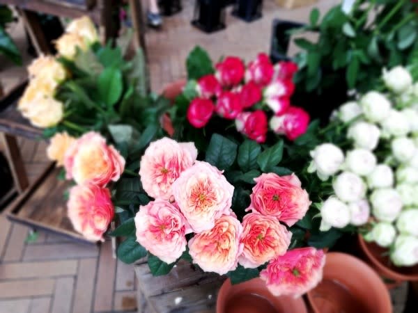 柏の葉のお花屋さん 柏の葉story 柏の葉のお花屋さん 柏の葉story