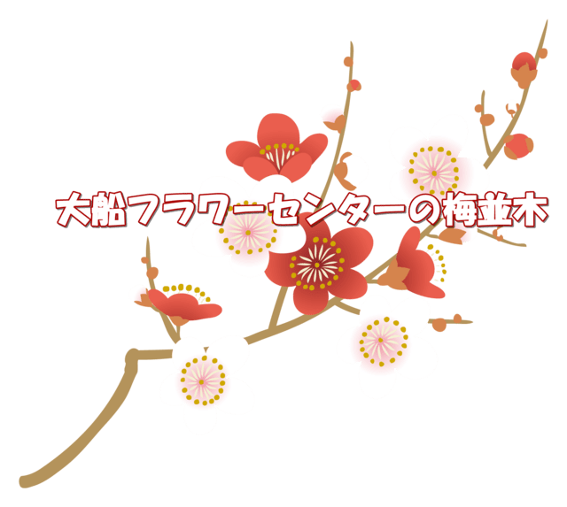 高砂枝垂と玉光枝垂 大船フラワーセンターの梅 今週のこんなニュース