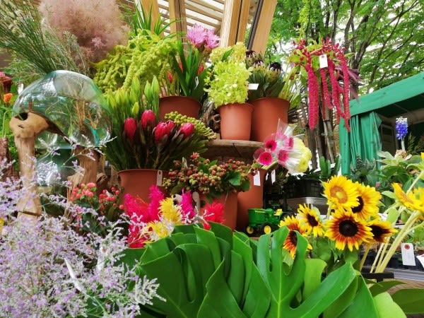 柏の葉のお花屋さん 柏の葉story 柏の葉のお花屋さん 柏の葉story