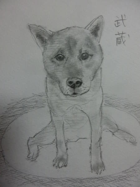 犬の鉛筆イラスト ゴン太郎先生