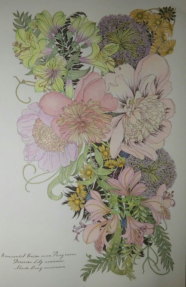 世界一美しい花の塗り絵book 012 ダーウェントアーチスト Color Pencil
