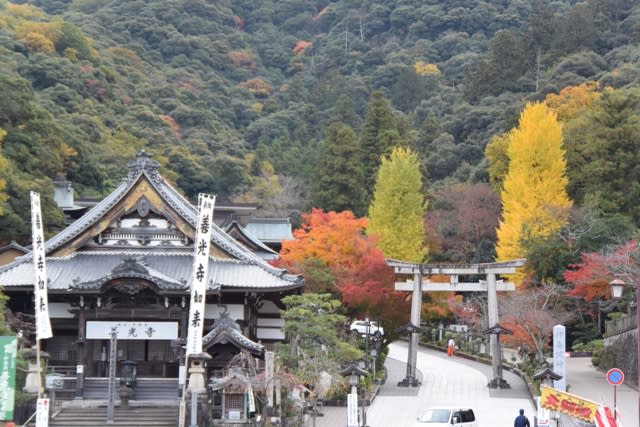 岐阜市内の紅葉はじまりました 長良川温泉 ホテルパーク