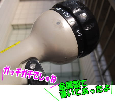 背中にコブじゃないですか 元太ランドの住人 バーニーズ ゴールデン ニャンコの日記