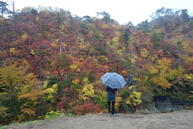 夏井川渓谷の紅葉はどうですか いわき市 休日は風を切って