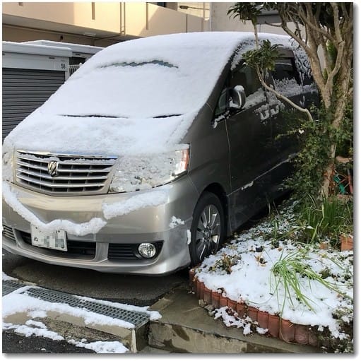 雪