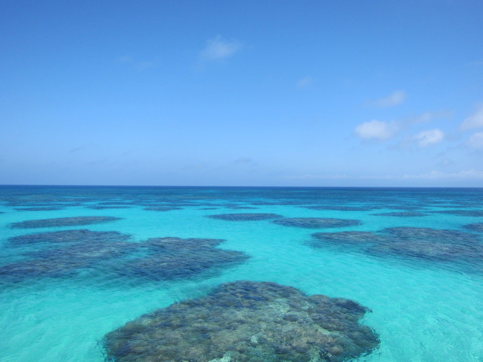 沖縄 八重山 三線 のブログ記事一覧 やいまの島々美しゃ 心美しゃ