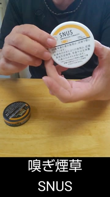 嗅ぎ煙草 Snus 試してみた 50sしゅうの茶番 ごはん 酒呑み 嗅ぎ煙草 Snus 試してみた 50sしゅうの茶番 ごはん 酒呑み