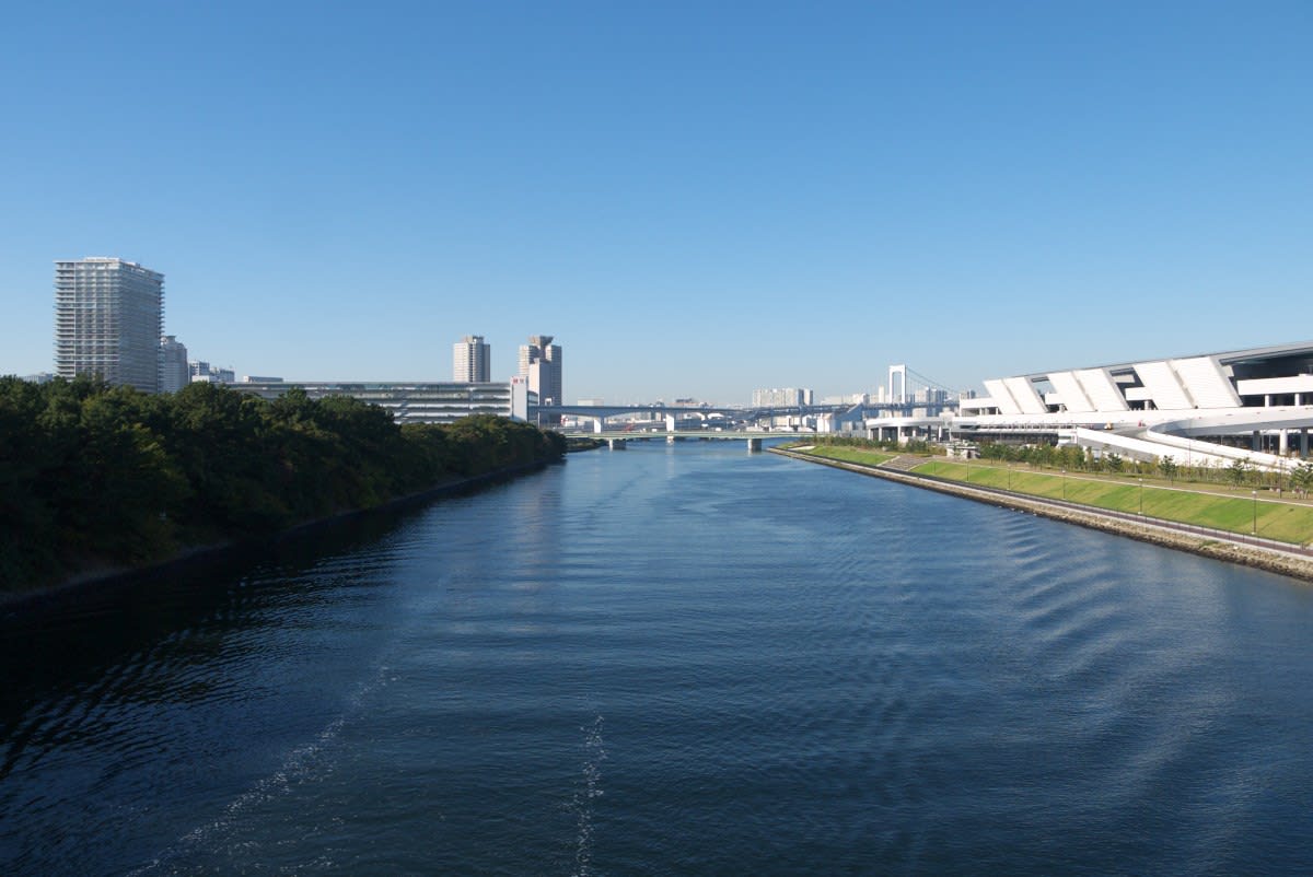 １０月の豊洲市場７街区 再び有明北橋を北上して７街区前へ ｐａｒｔ２ 緑には 東京しかない