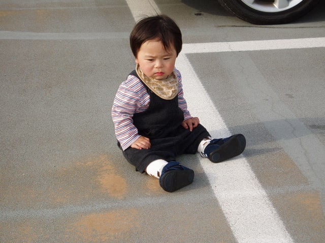 かえでの由来 かえで王国 かえでの由来 かえで王国