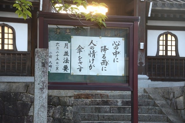 お寺の掲示板 お前も死ぬぞ 釈尊 これは岐阜県の竹林山願蓮寺のものでした ぶちょうほうのさんぽみち 旧名 気ままに野山