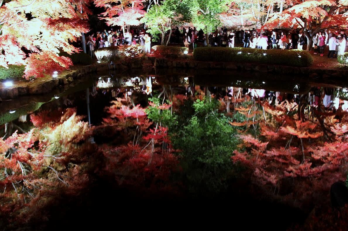 曽木の逆さ紅葉・ライトアップの画像