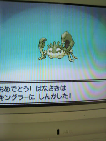 いろちがい キングラー やま うみ