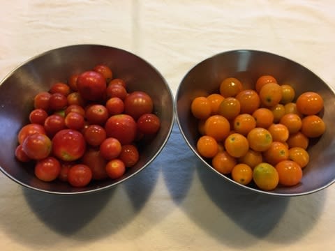 2種類の生トマトソース こむぎ グレの部屋