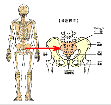 仙骨を温める 風の音を聞こう 3