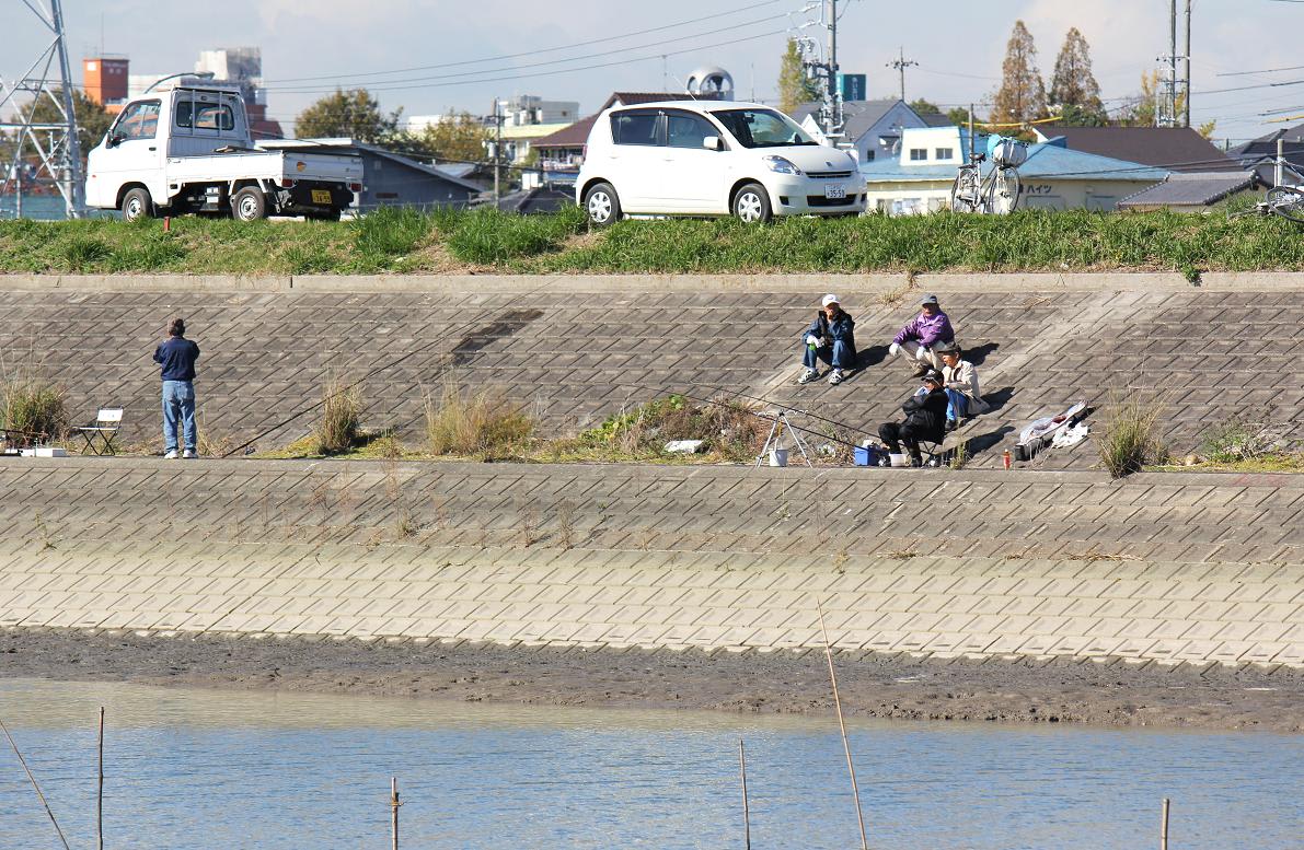 猿渡川の日溜りの画像