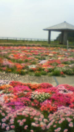 式根島、この口公園