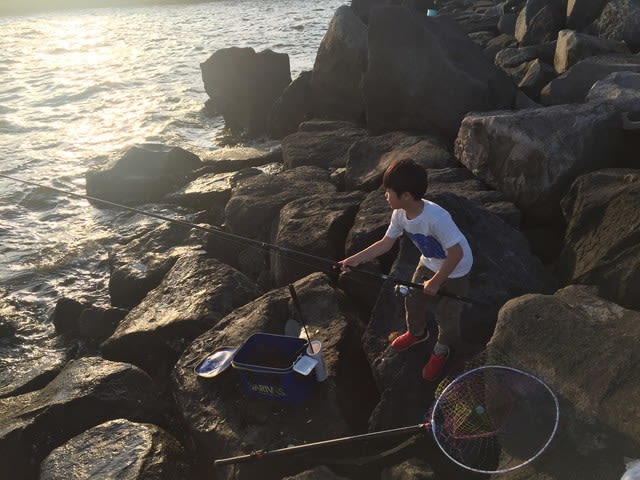 6 3 若洲海浜公園で釣り 釣れないケド釣り部 南房磯夜釣り専科