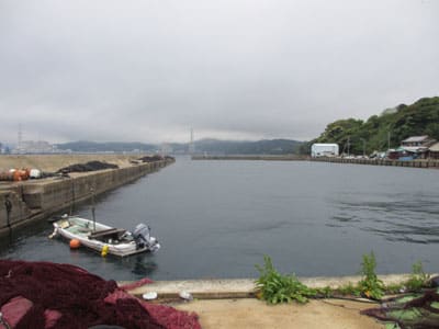 川原辺田港 松浦市 エギング 北の国から 関東編